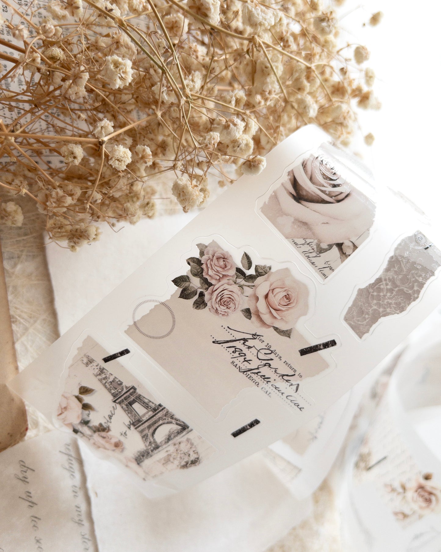Pettape | French romance roses